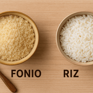 Fonio ou riz : lequel choisir ? Comparaison nutritionnelle complĂšte