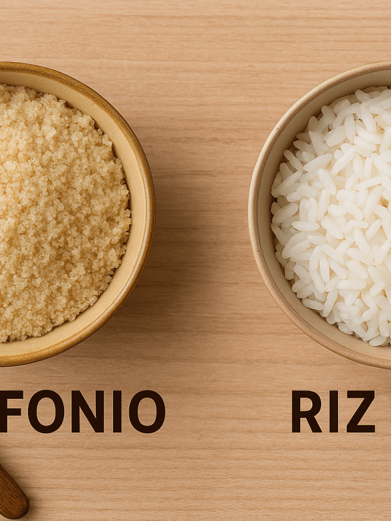 Fonio ou riz : lequel choisir ? Comparaison nutritionnelle complète