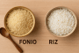Fonio ou riz : lequel choisir ? Comparaison nutritionnelle complète