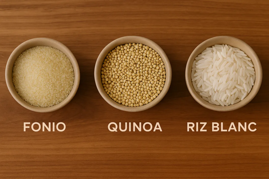 Trois bols alignés contenant respectivement du fonio, du quinoa et du riz blanc, vus du dessus sur une table en bois
