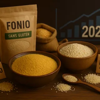 fonio et millet, deux céréales africaines sans gluten