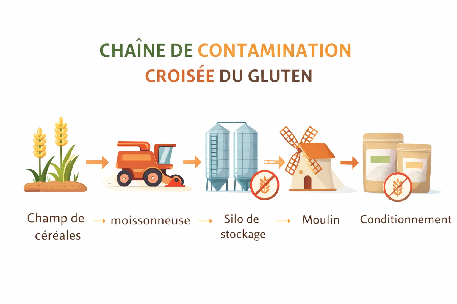 Chaîne de contamination croisée du gluten