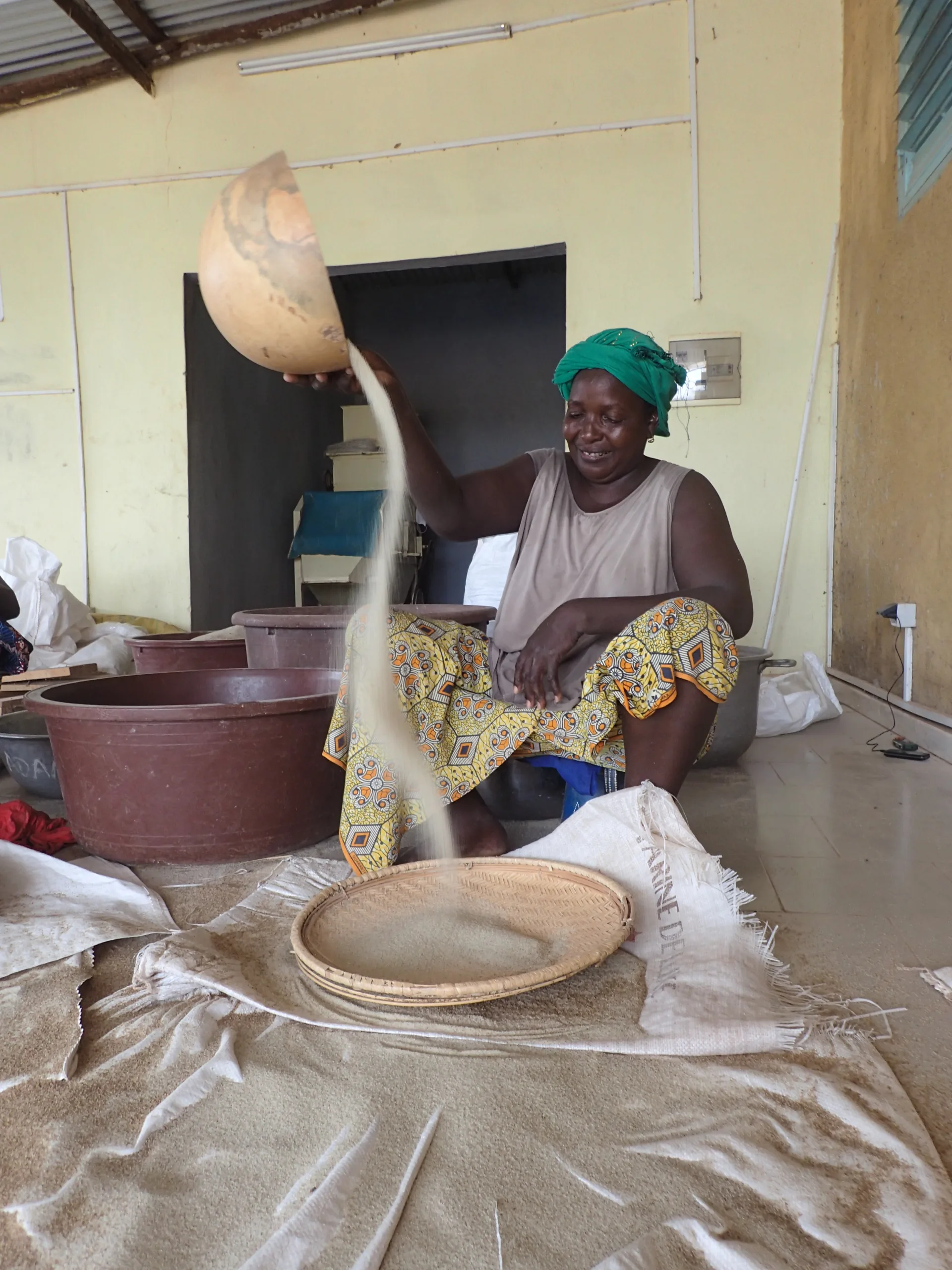 Femmes productrices de fonio en Afrique de l'Ouest dans un champ