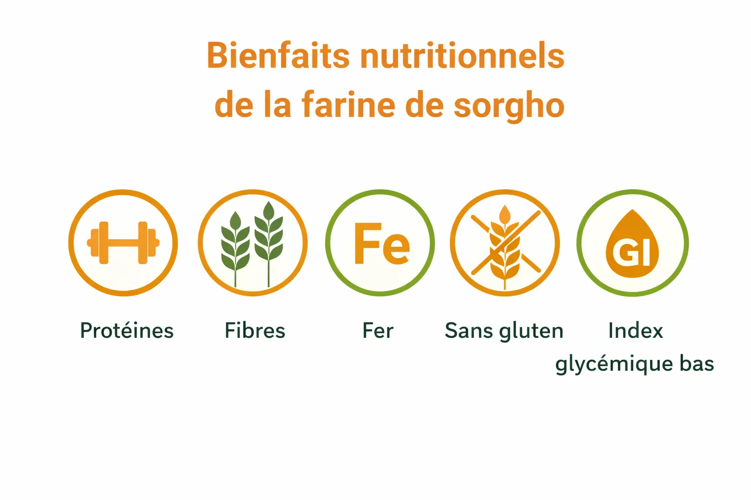 Infographie des bienfaits nutritionnels de la farine de sorgho : riche en prot&eacute;ines, fibres, fer, sans gluten, index glyc&eacute;mique mod&eacute;r&eacute;